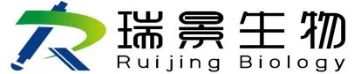 瑞景台式超高速离心机